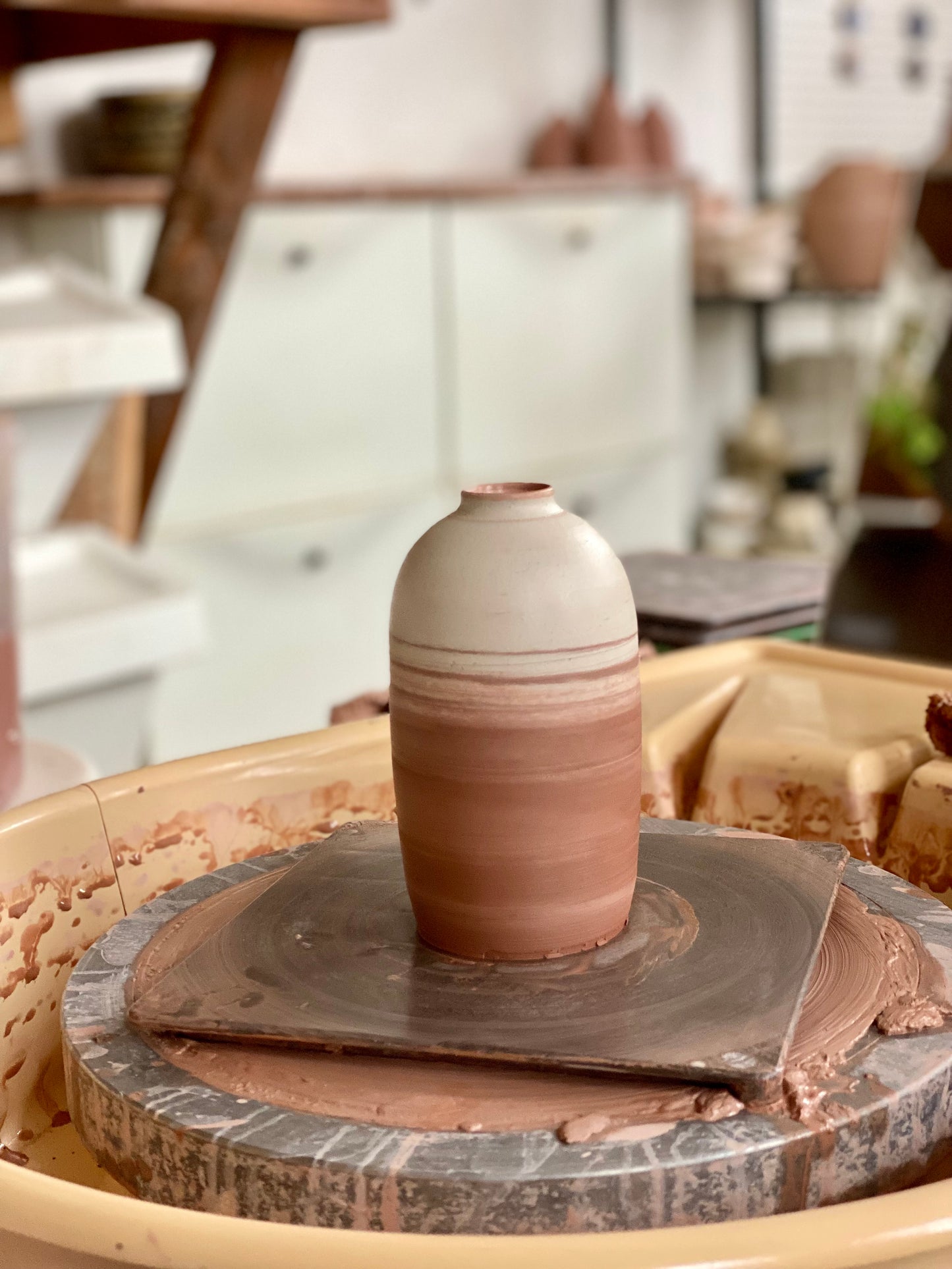 EARTH LINES: Marbled Clay Vase No13