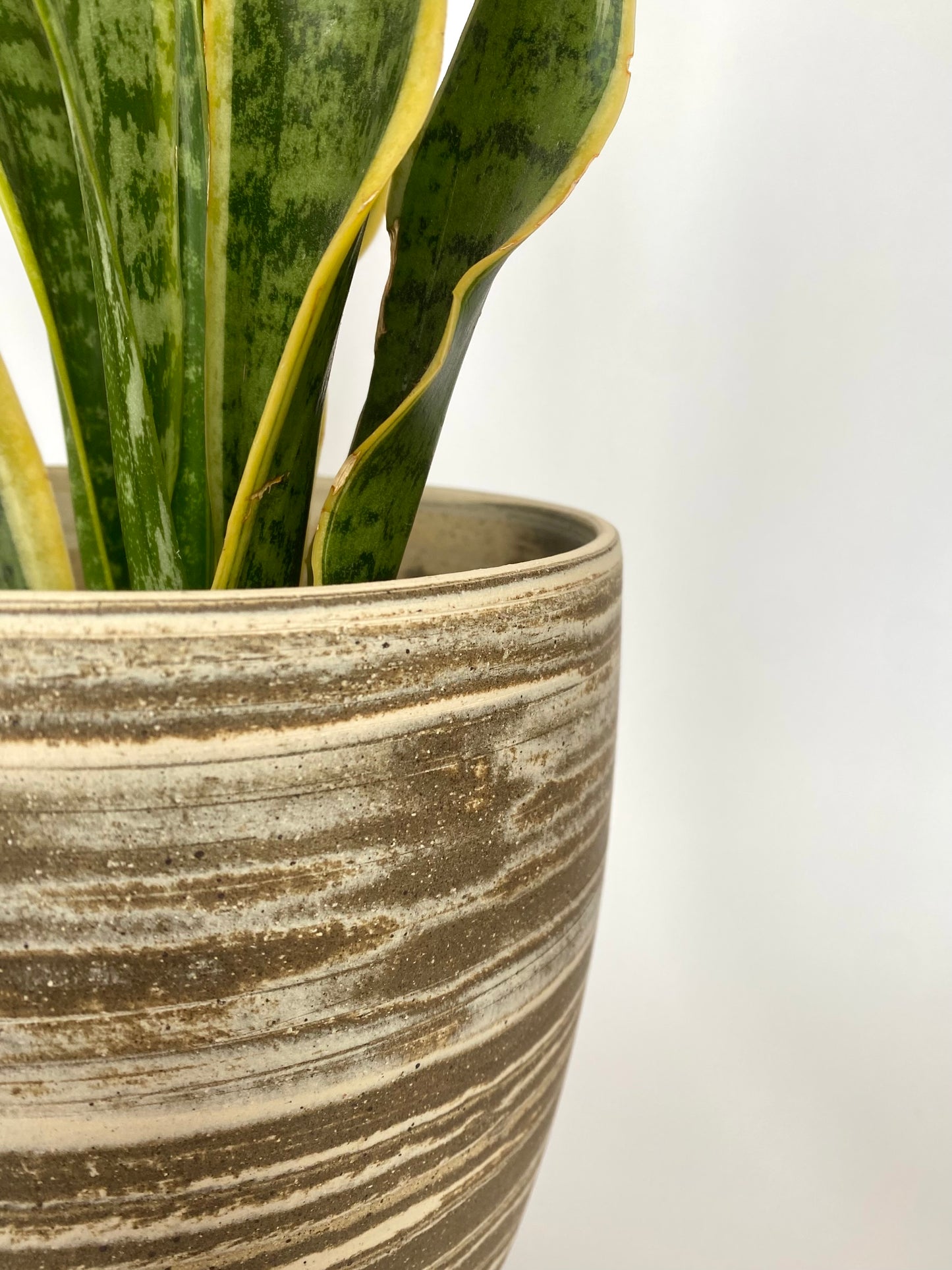 EARTH LINES: Marbled Clay Plant Holder No5