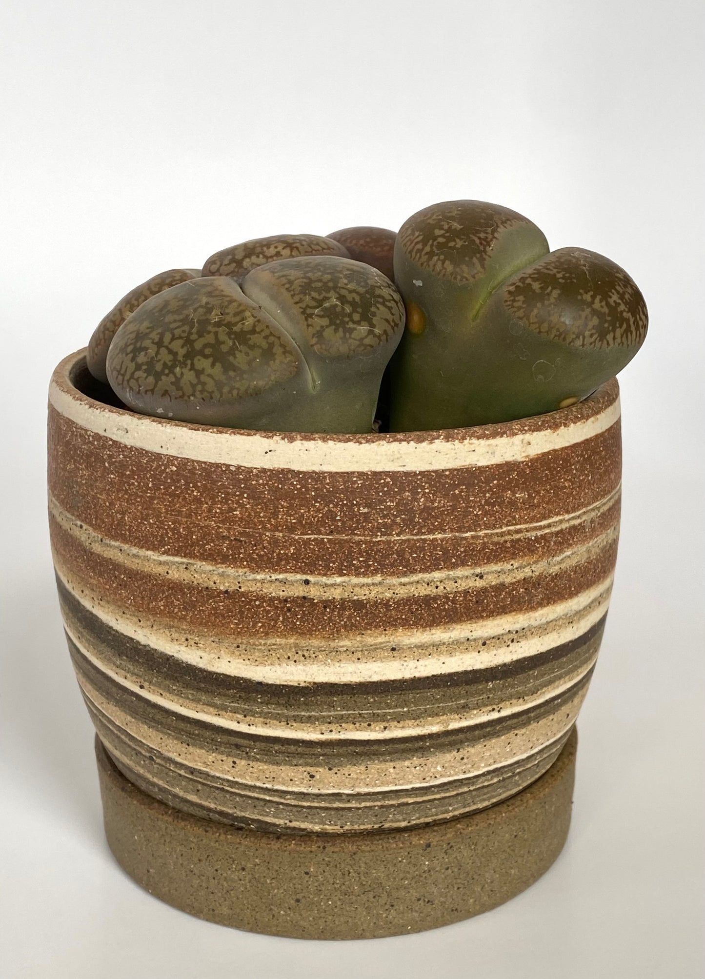 EARTH LINES: Marbled Clay Planters