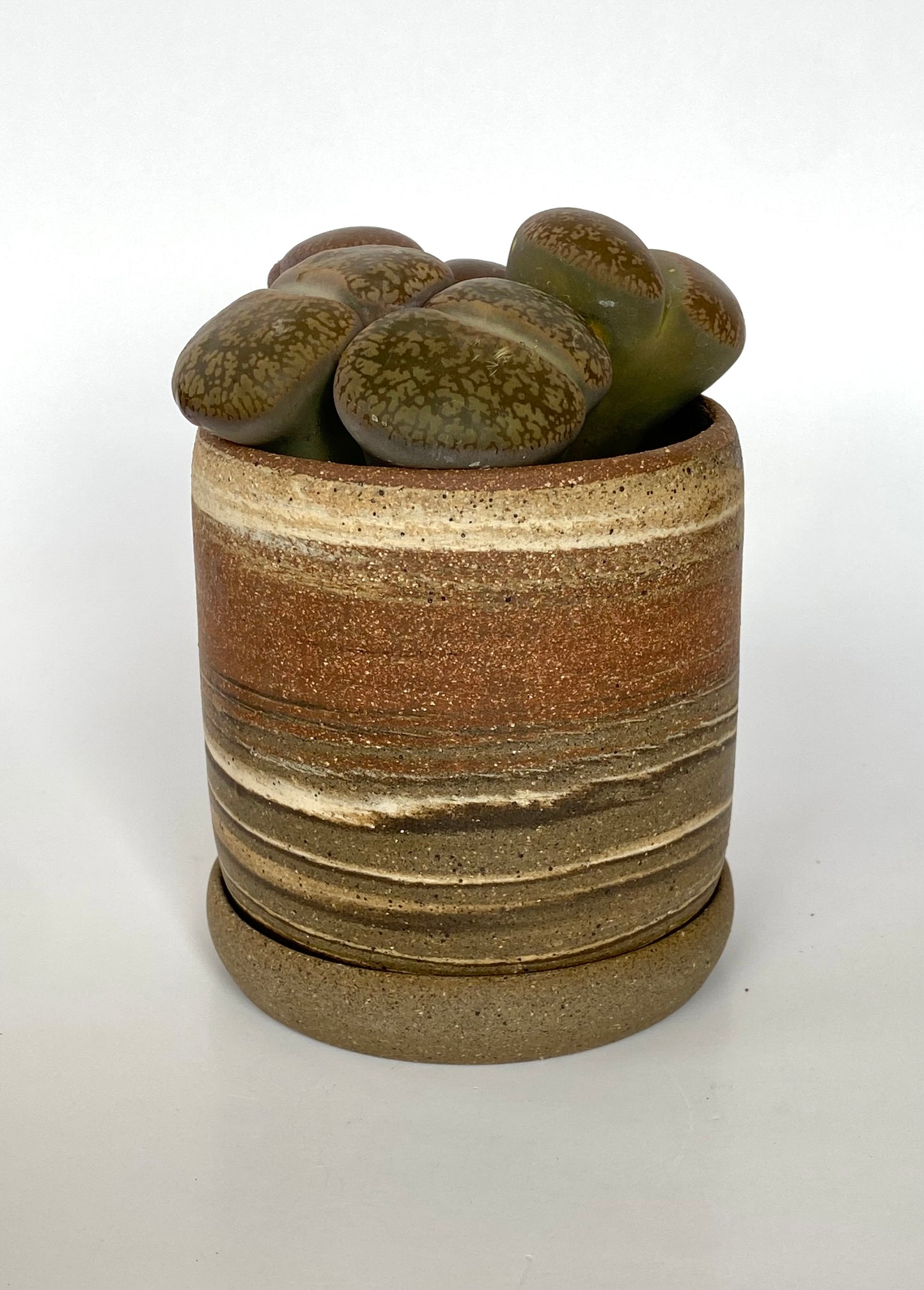 EARTH LINES: Marbled Clay Planters