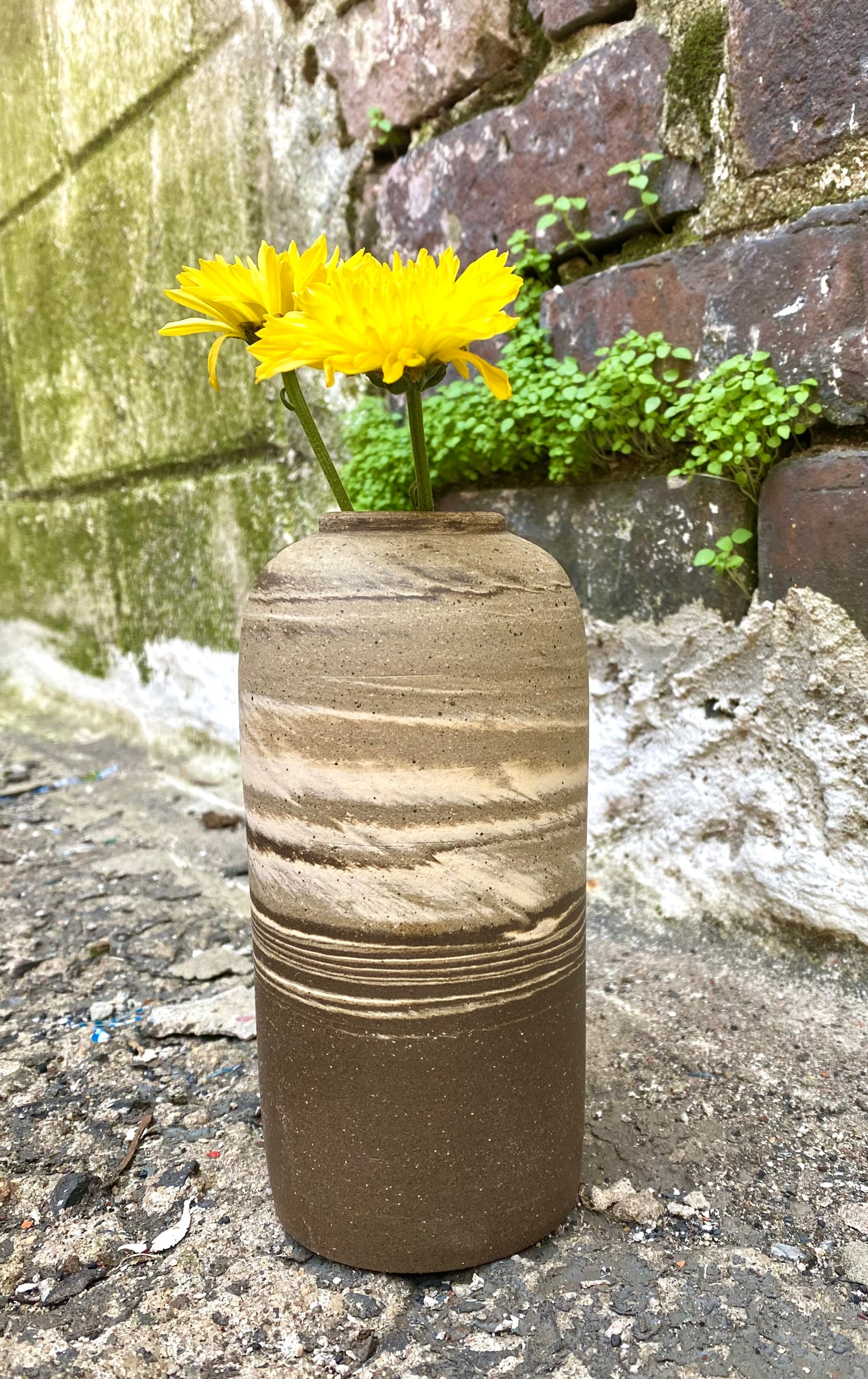 EARTH LINES: Marbled Clay Vase No11
