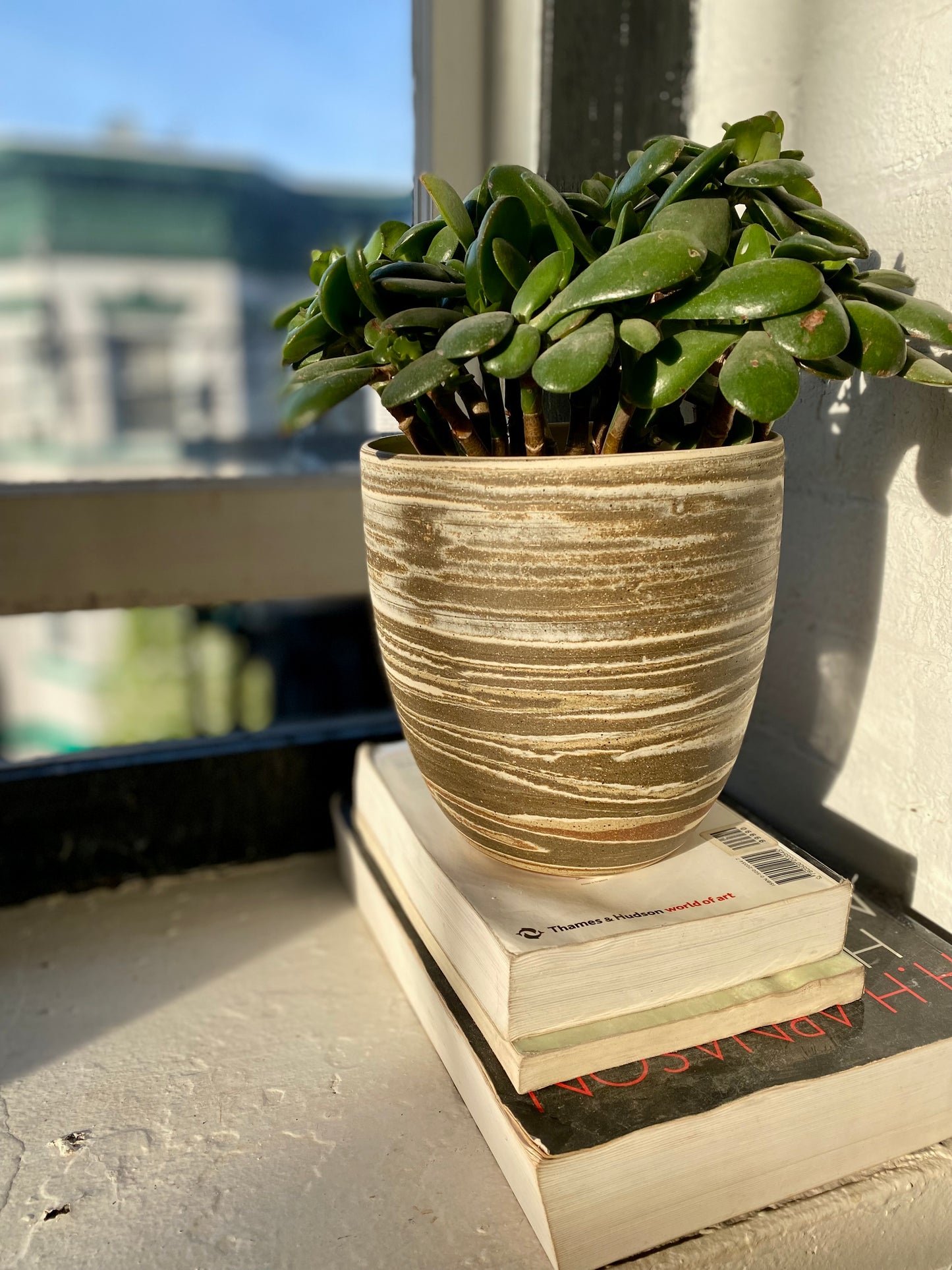 EARTH LINES: Marbled Clay Plant Holder No5