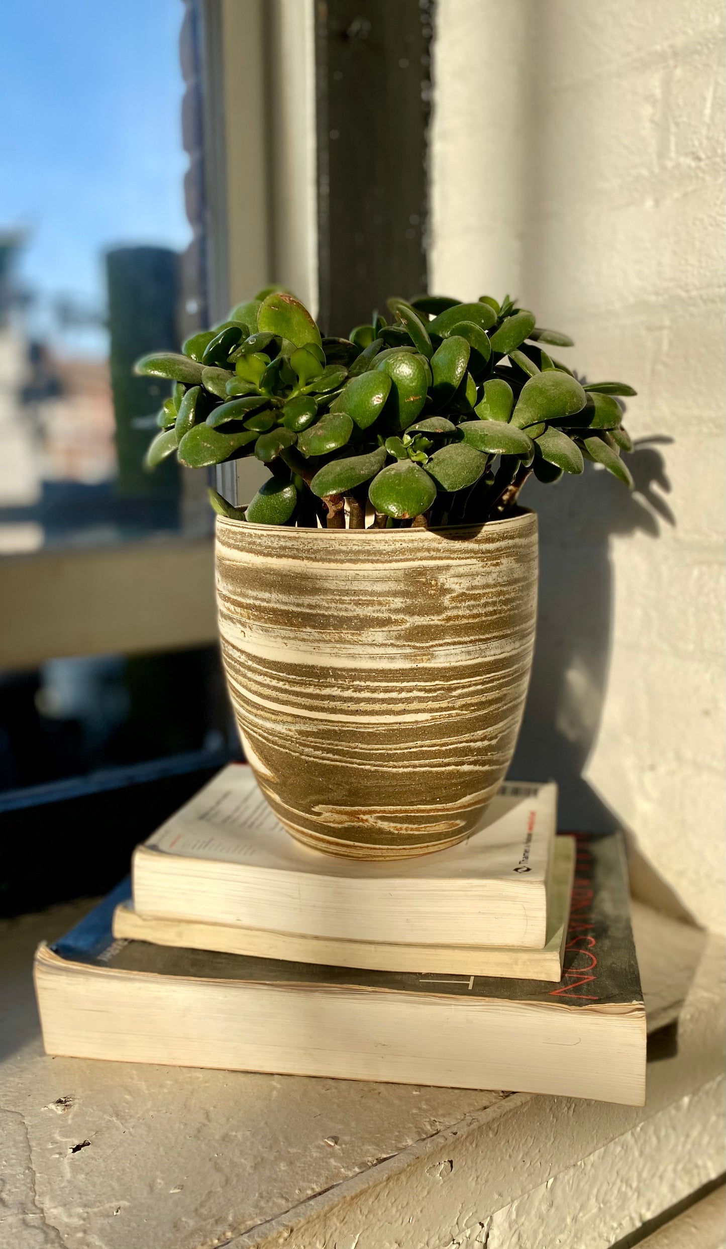 EARTH LINES: Marbled Clay Plant Holder No5