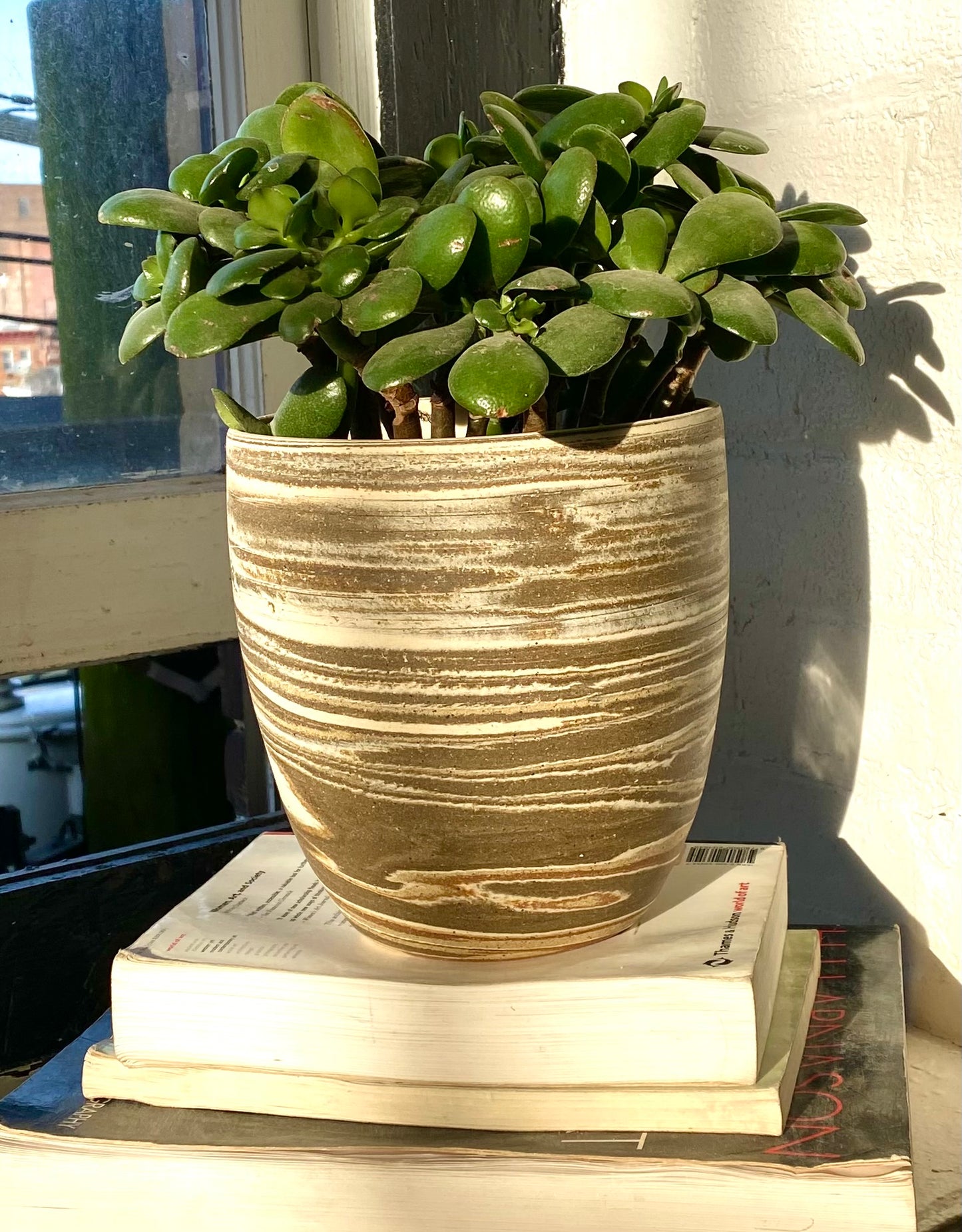 EARTH LINES: Marbled Clay Plant Holder No5