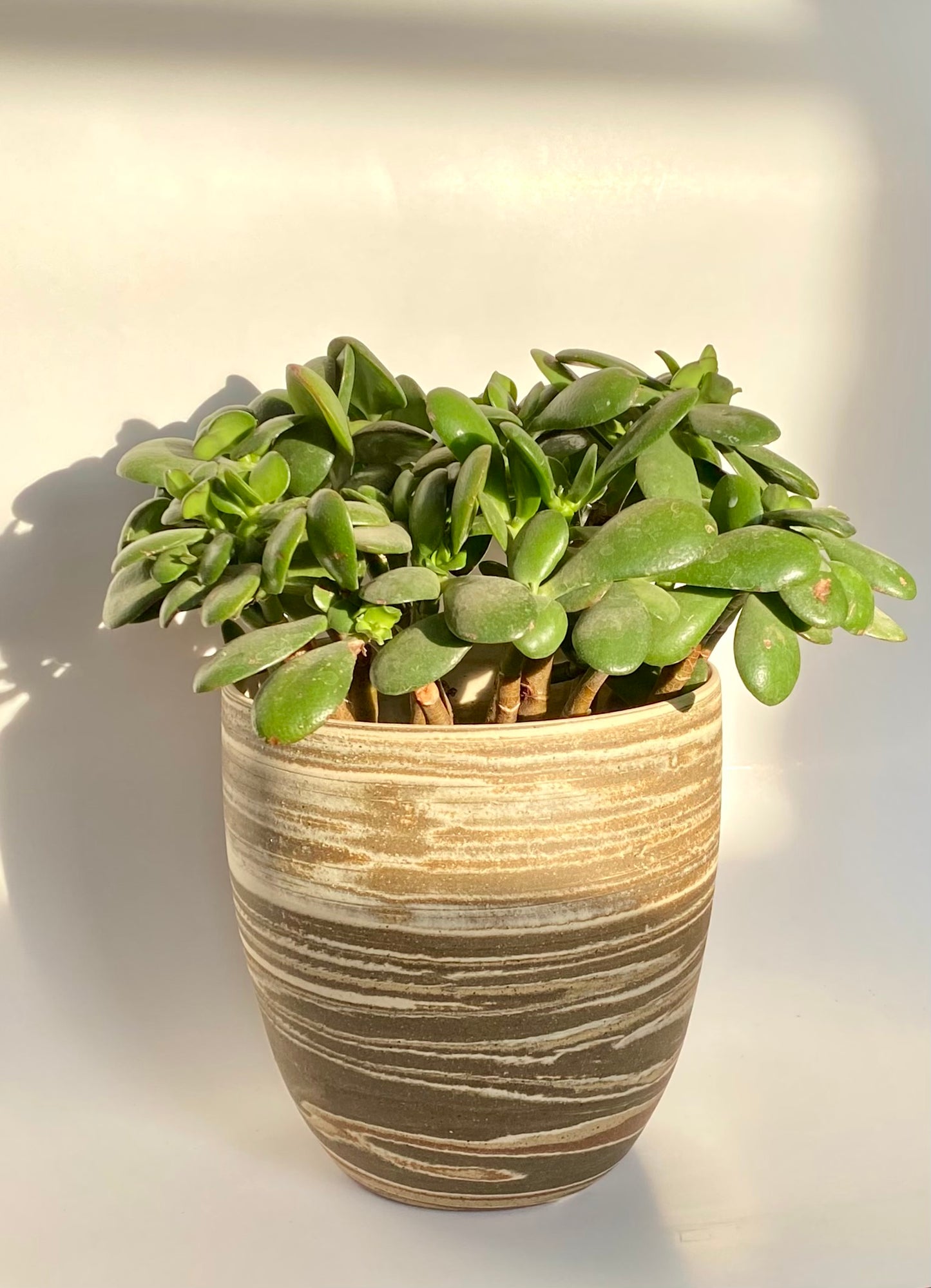 EARTH LINES: Marbled Clay Plant Holder No5