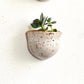 Succulent Clay Wall Pockets