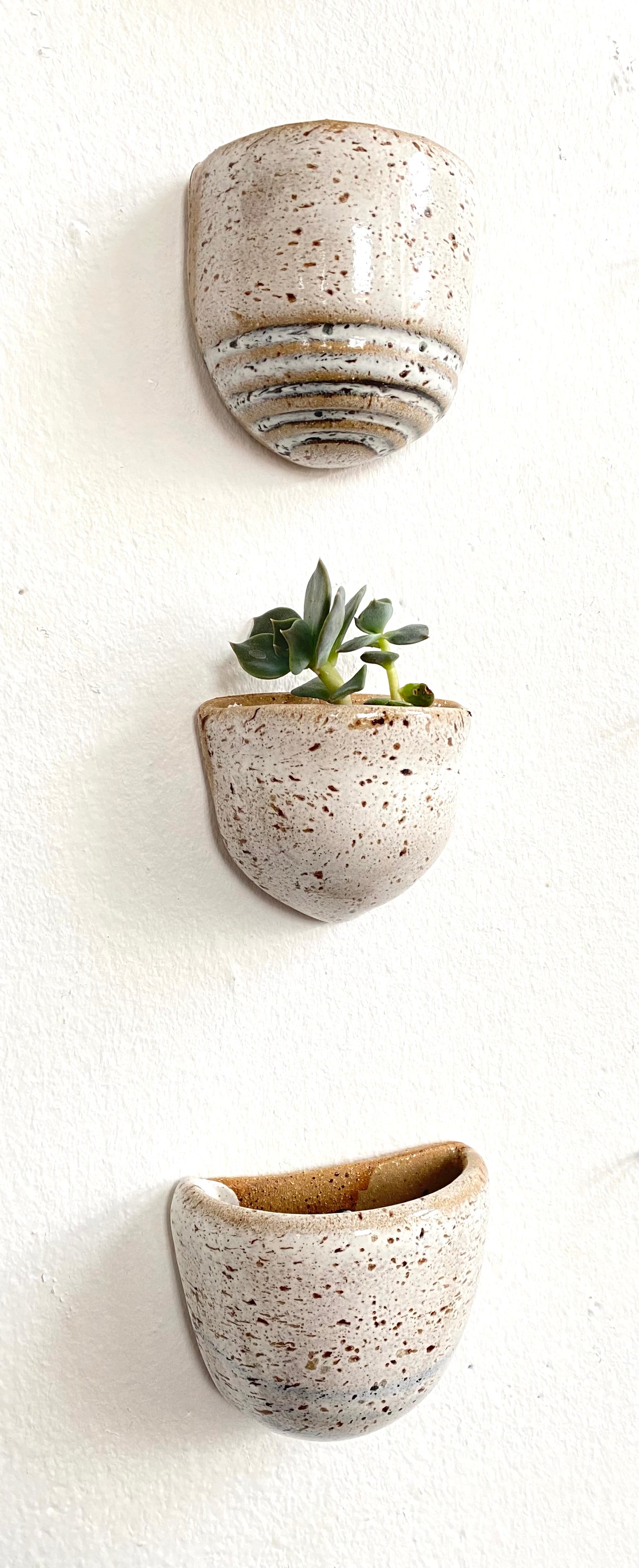 Succulent Clay Wall Pockets