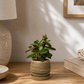 EARTH LINES: Marbled Clay Planters