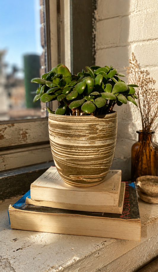 EARTH LINES: Marbled Clay Plant Holder No5