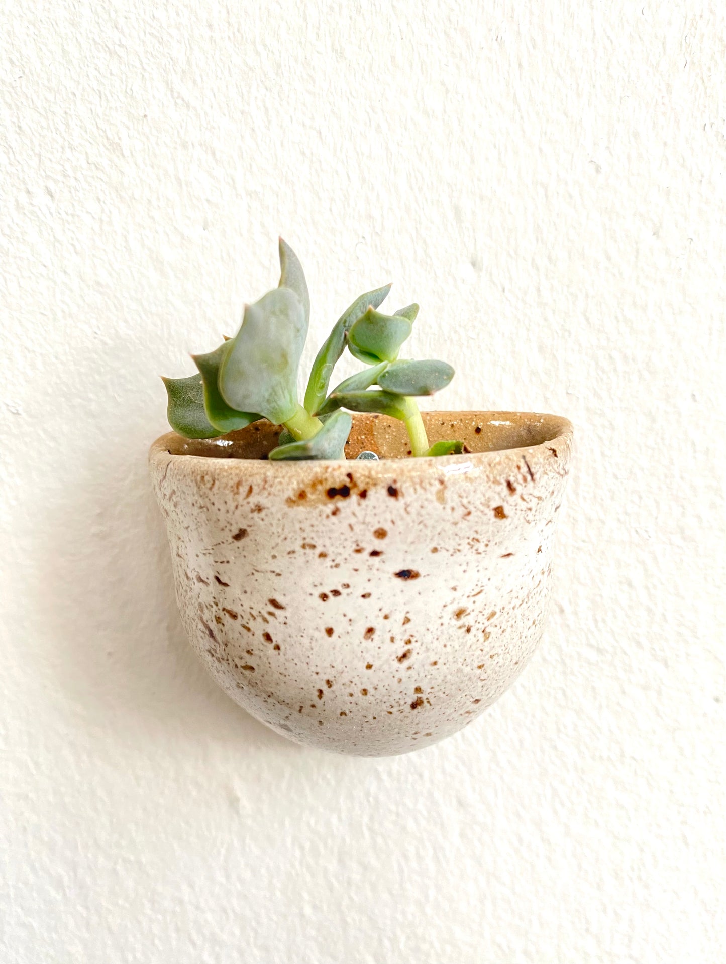 Succulent Clay Wall Pockets