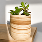 EARTH LINES: Marbled Clay Plant Holder  No4