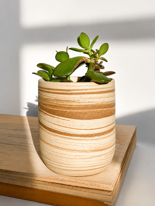 EARTH LINES: Marbled Clay Plant Holder  No4