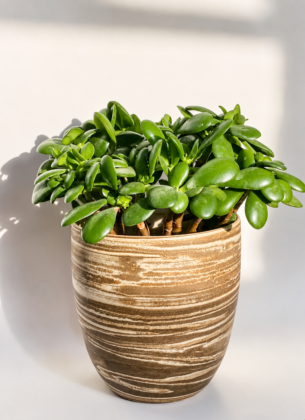 EARTH LINES: Marbled Clay Plant Holder No5