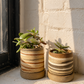 EARTH LINES: Marbled Clay Planters