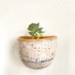 Succulent Clay Wall Pockets