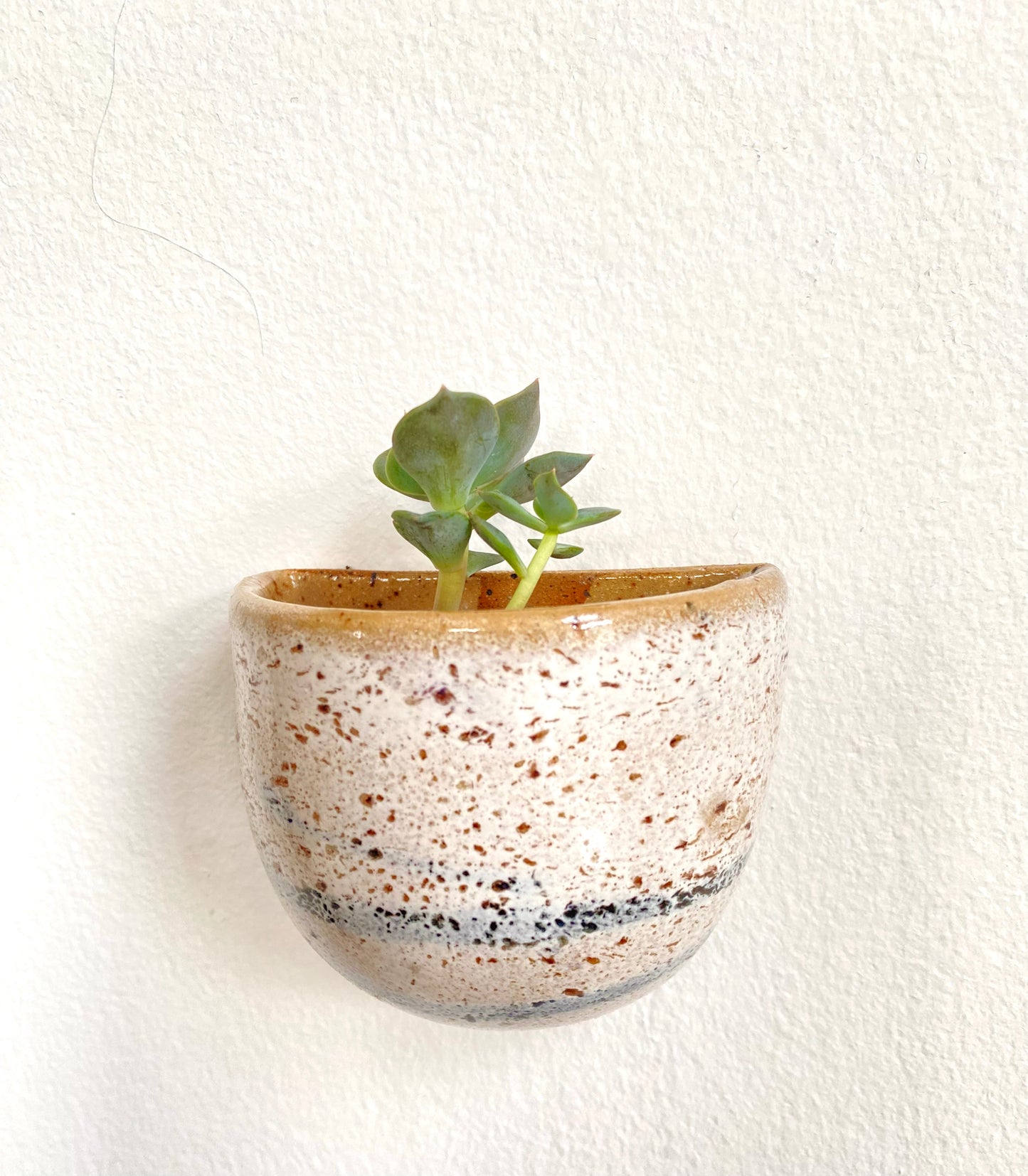 Succulent Clay Wall Pockets