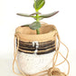Hanging Bands Pot