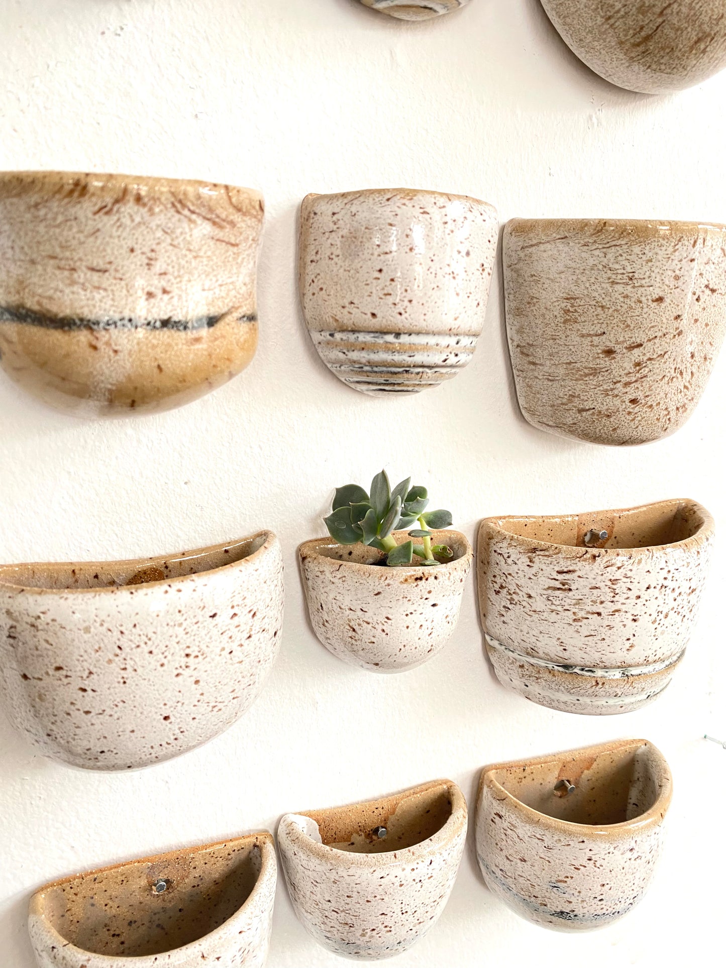 Succulent Clay Wall Pockets