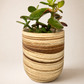 EARTH LINES: Marbled Clay Plant Holder  No4
