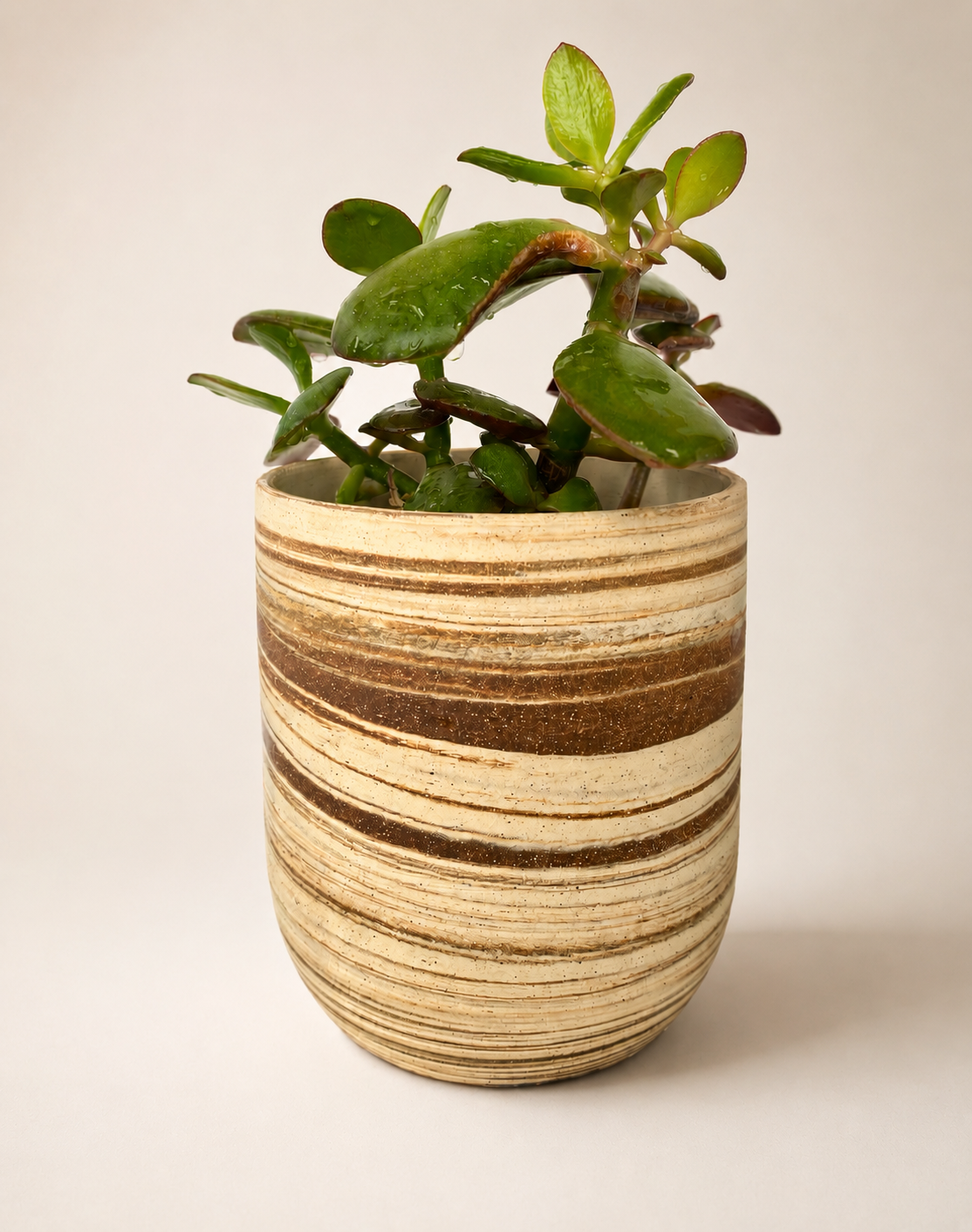 EARTH LINES: Marbled Clay Plant Holder  No4