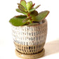 Charcoal Streaks Succulent Planter