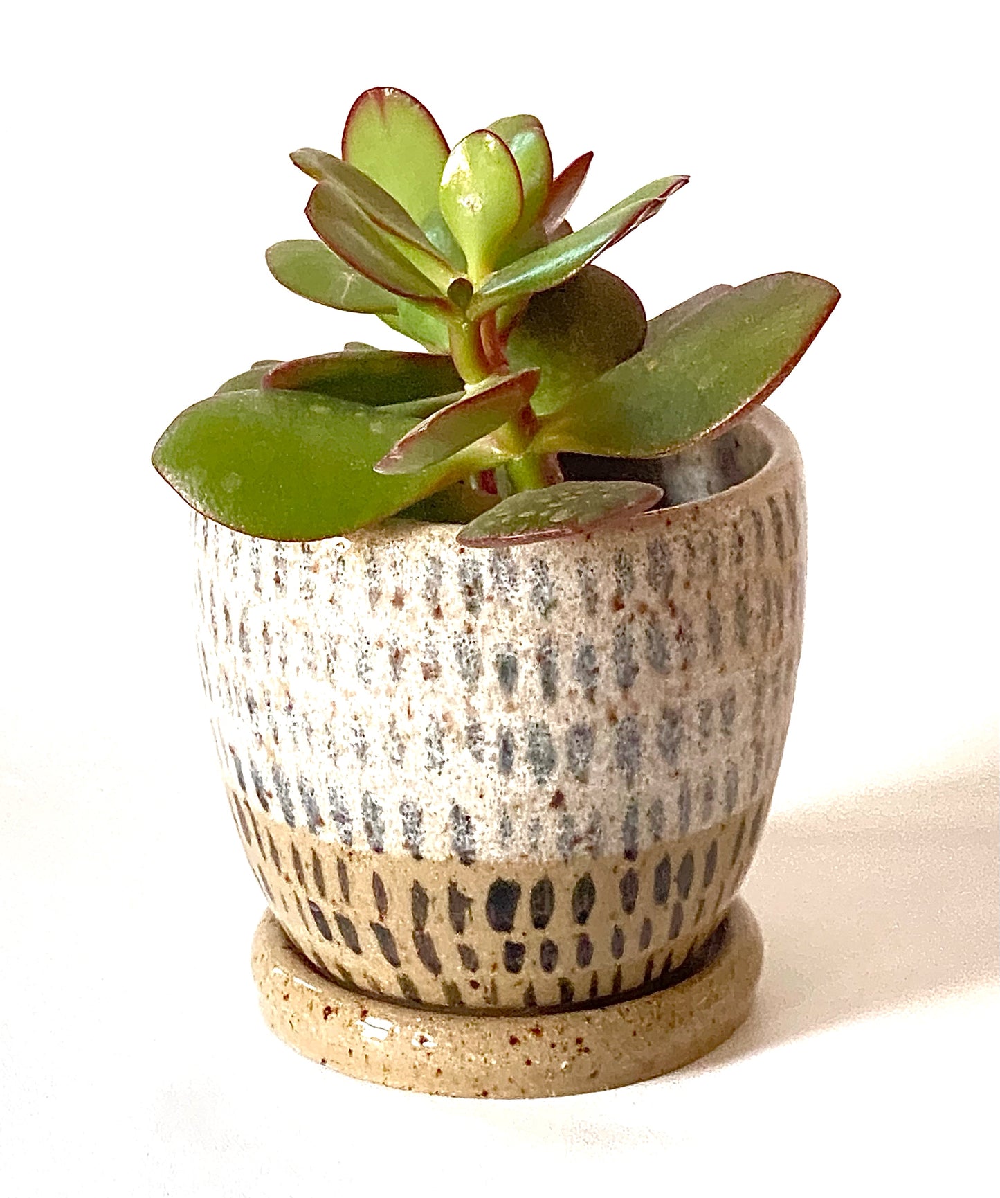 Charcoal Streaks Succulent Planter