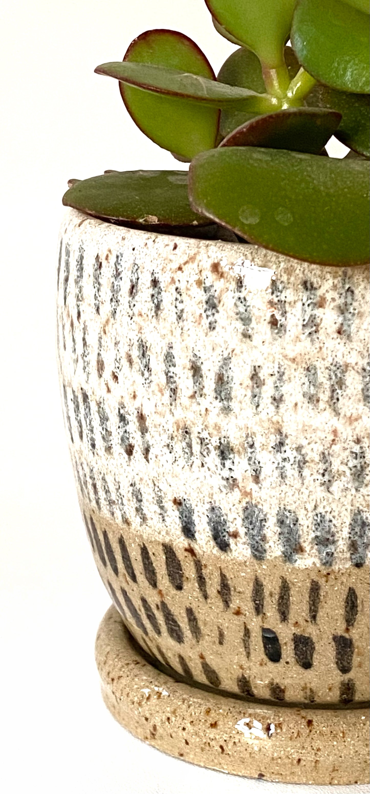 Charcoal Streaks Succulent Planter