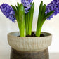 Course Clay Planter