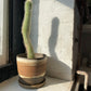 EARTH LINES: Brooklyn Red Clay Planter No2
