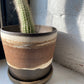 EARTH LINES: Brooklyn Red Clay Planter No2