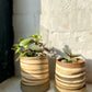 EARTH LINES: Marbled Clay Planters