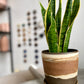 EARTH LINES: Brooklyn Red Clay Planter No2