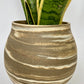 EARTH LINES:Marbled Clay Plant Holder No1