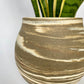 EARTH LINES:Marbled Clay Plant Holder No1