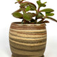 EARTH LINES: Marbled Clay Planters