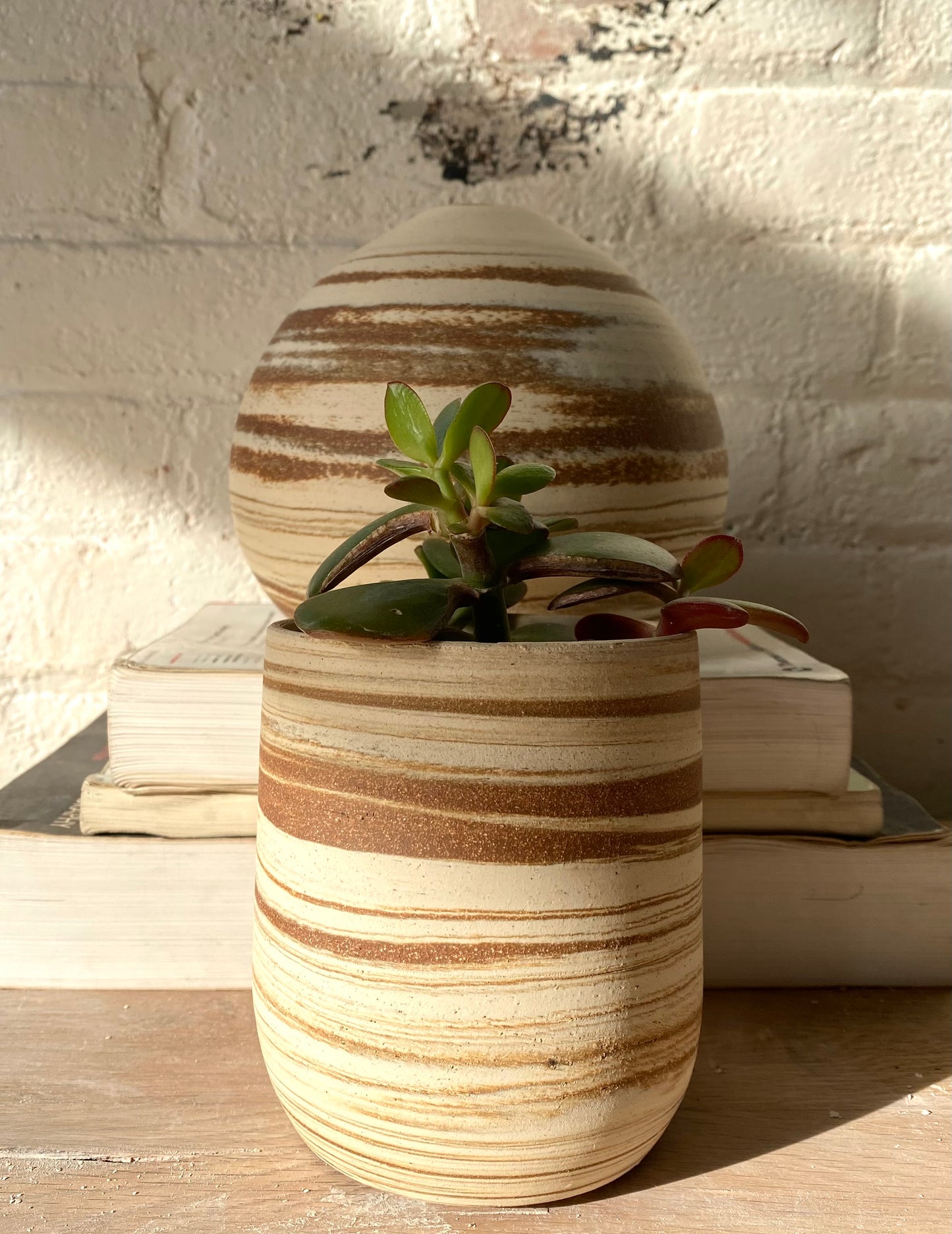 EARTH LINES: Marbled Clay Plant Holder  No4