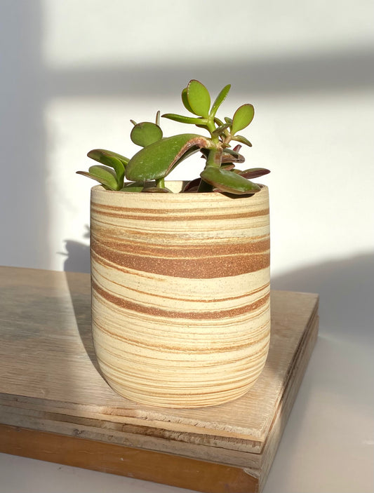 EARTH LINES: Marbled Clay Plant Holder  No4
