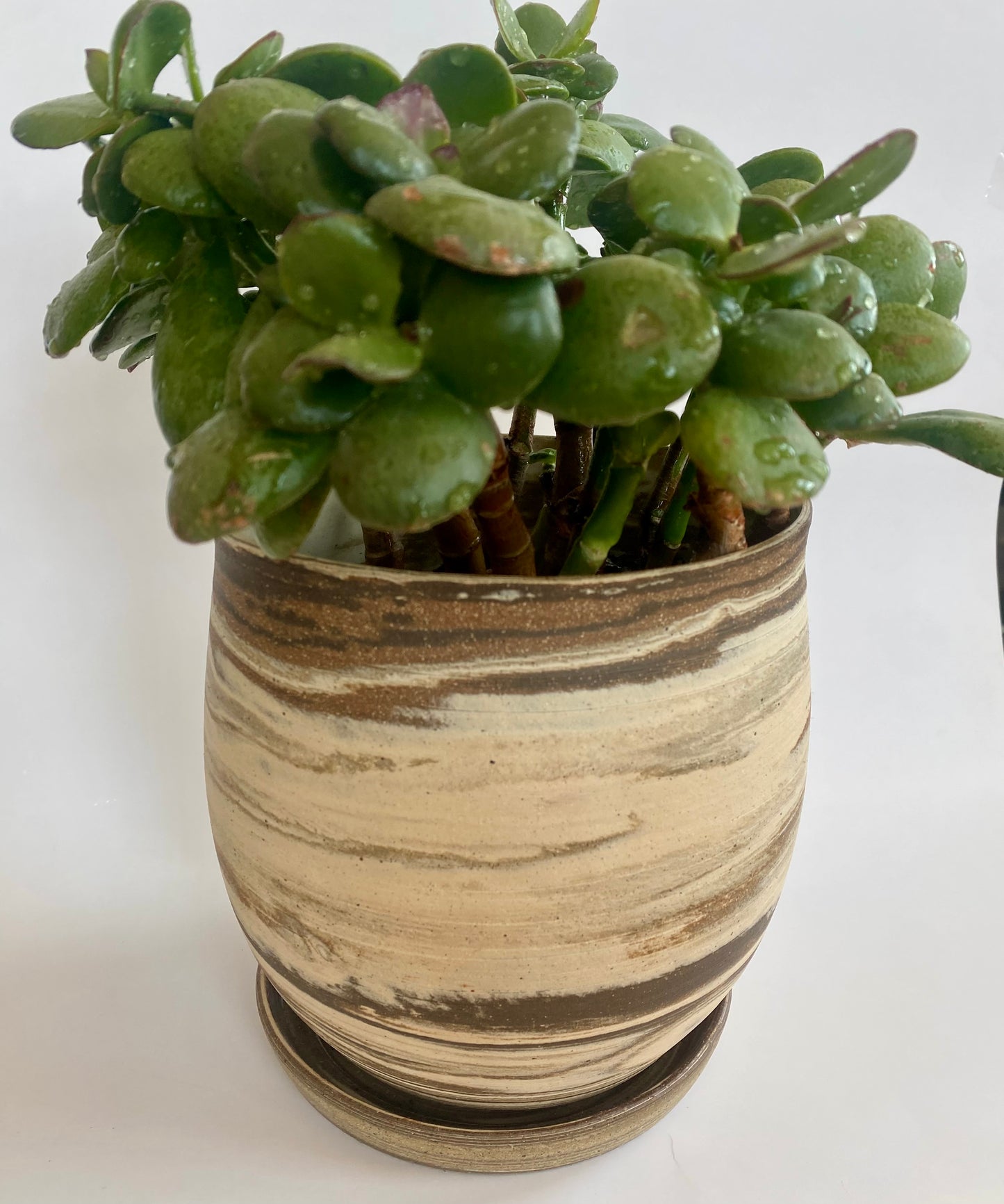 EARTH LINES: Clay Planter for Elisabeth