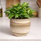 EARTH LINES: Marbled Clay Plant Holder No3