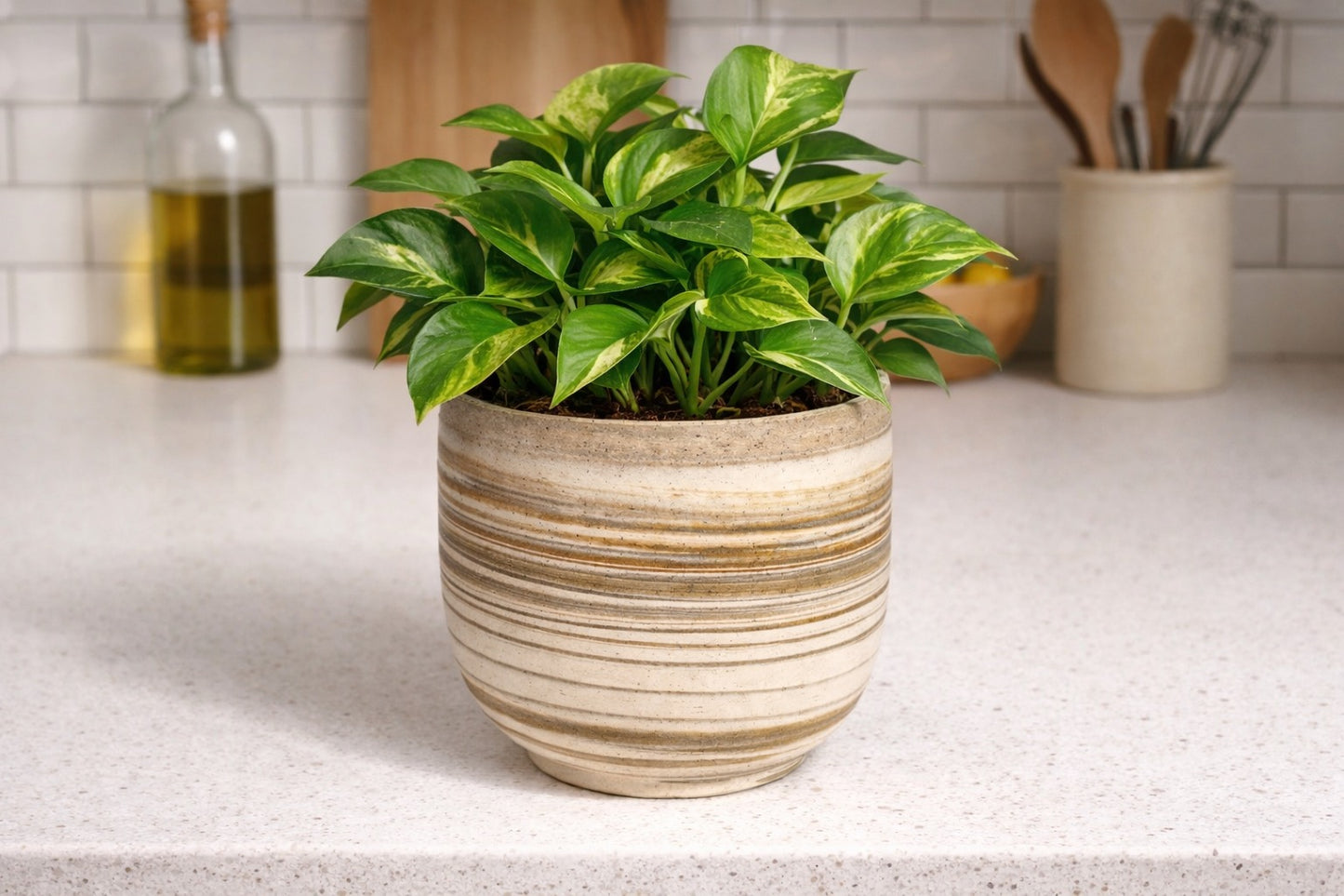 EARTH LINES: Marbled Clay Plant Holder No3