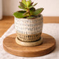 Charcoal Streaks Succulent Planter