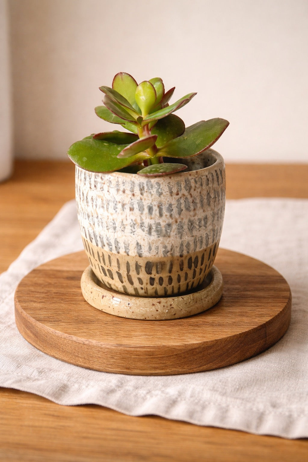 Charcoal Streaks Succulent Planter