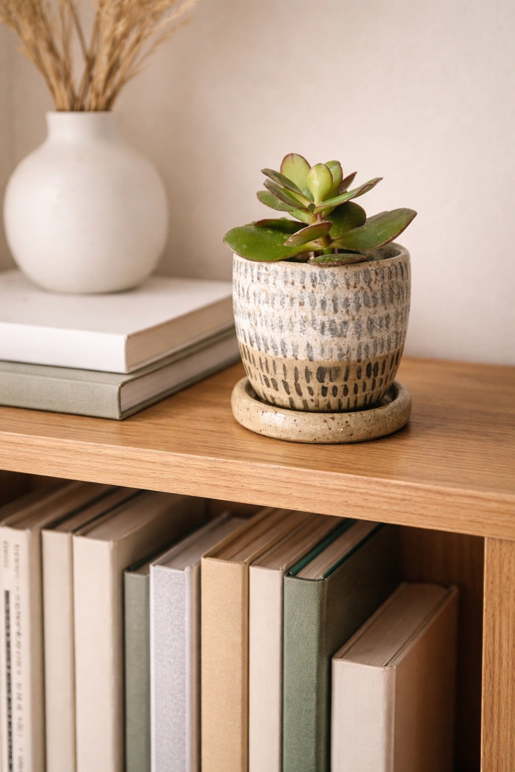 Charcoal Streaks Succulent Planter